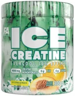 FA ICE Creatine, 300g